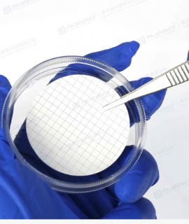 Màng lọc MCE Grid vô trùng 47 mm, 0,45 µm, màu trắng/lưới đen ALWSCI C0001243